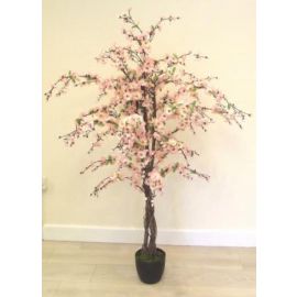150cm Pink Cherry Blossom Tree Version 2