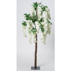 140cm Cream Wisteria Tree Blossom Tree 