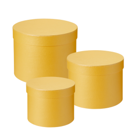 Oasis® Symphony Hat Box (Set of 3) - Yellow
